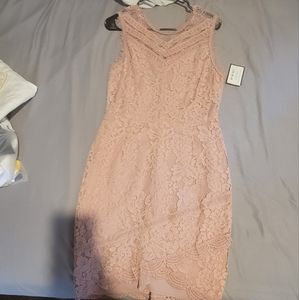 Adelyn Rae lace floral Blush Sheath dress